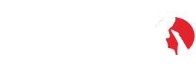 Judo – JuJitsu – Club Seynois – Club d&#039;arts martiaux
